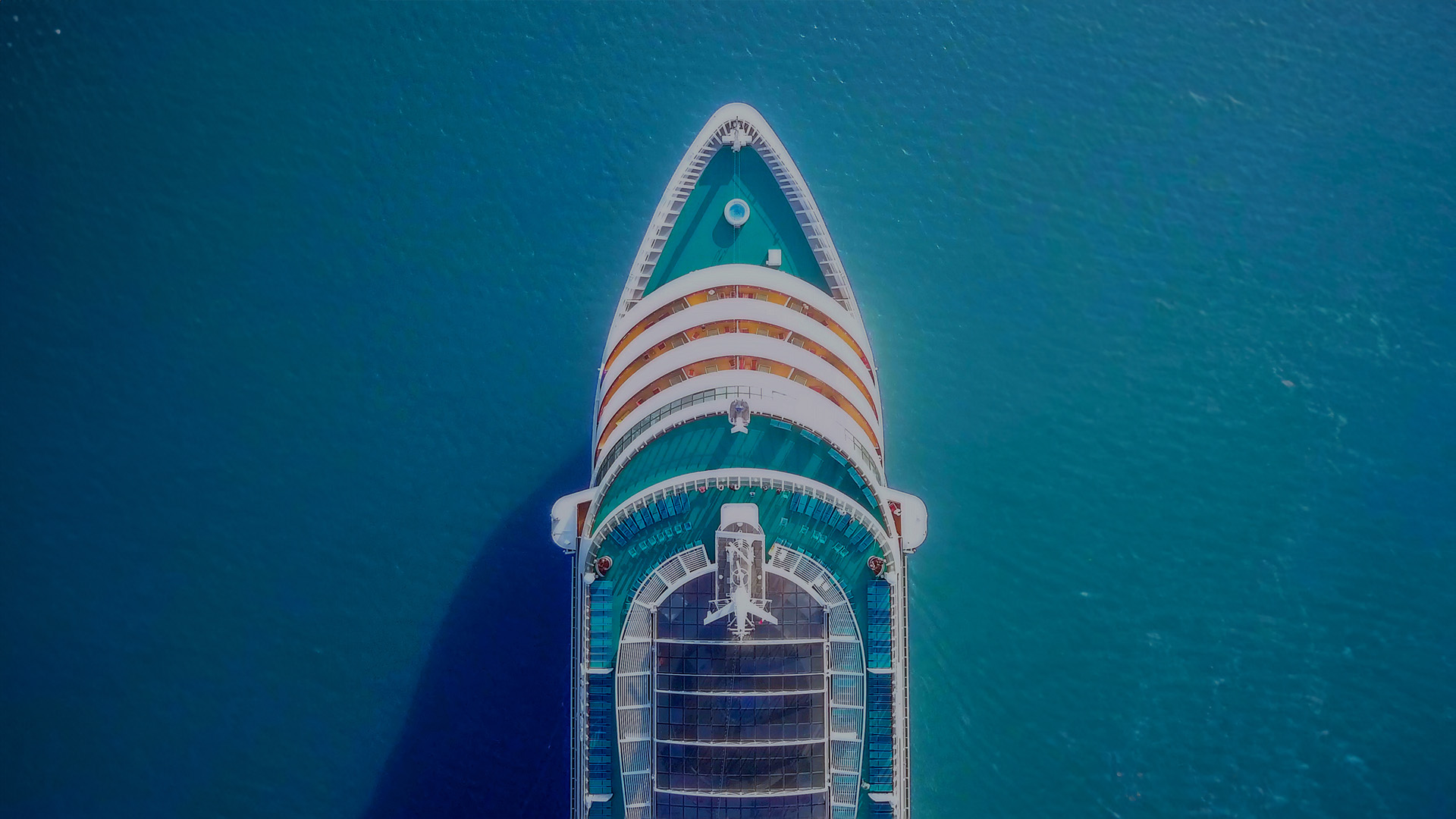 Cruise Industry Segment Solution